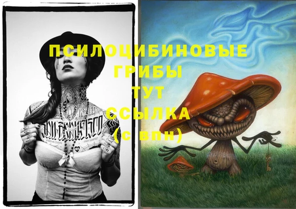 дживик Алексин