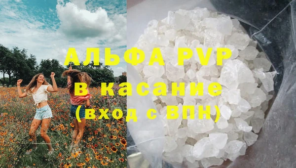 твердый Алзамай