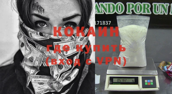твердый Алзамай