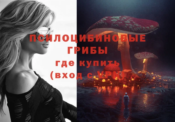 дживик Алексин