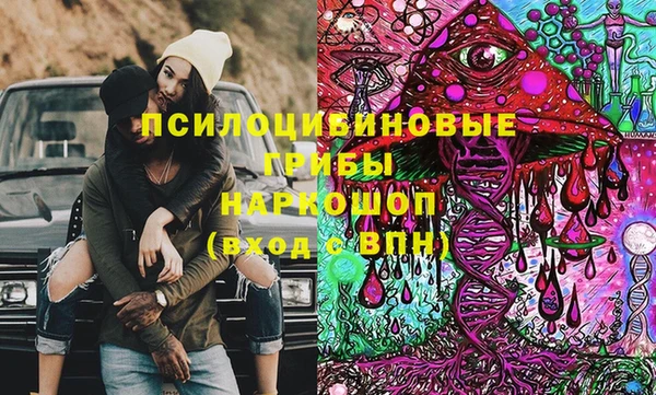 твердый Алзамай