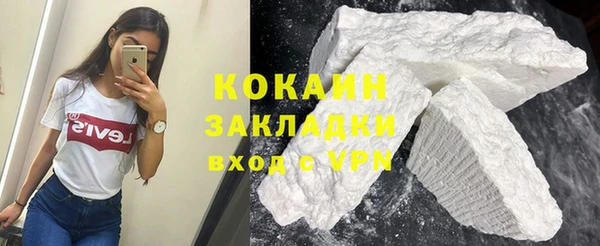 твердый Алзамай