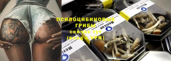 твердый Алзамай