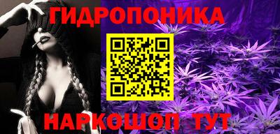 стаф Вязники
