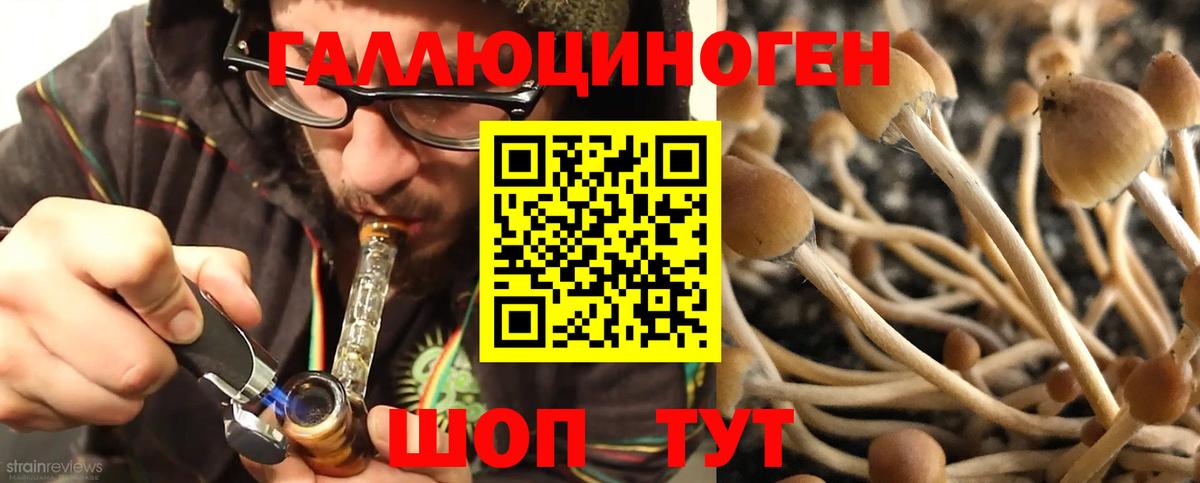 Псилоцибиновые грибы прущие грибы Боровичи