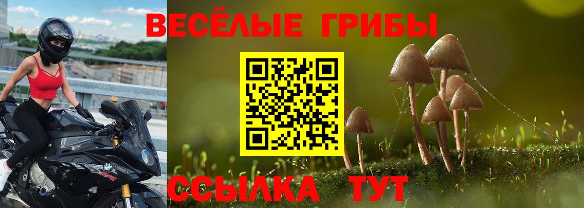 Псилоцибиновые грибы MAGIC MUSHROOMS  Вход с VPN  Боровичи 
